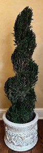lot 74 image: Faux Potted Spiral Topiary