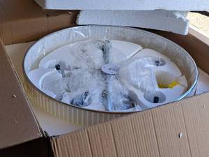 lot 1496 image: Golden Lighting Entry Chandelier 5-bulb (in original box)