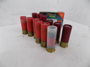 12 ga Sluges