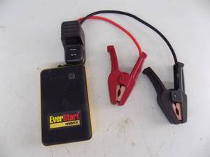 Everstart Max
