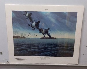 lot 18 image: Bluebills Visit Indian Point by Les Kouba