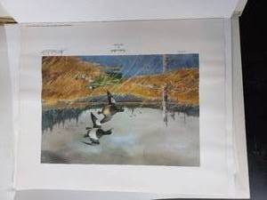lot 34 image: Collection of 3 Les Kouba prints Northern Bills