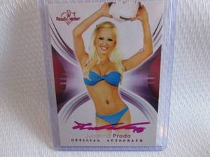 lot 226 image: 2014 Bench Warmer Julianna Prada Pi...
