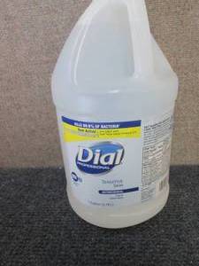 lot 280 image: 3 Gallons Dial Sensitive Skin Hand ...