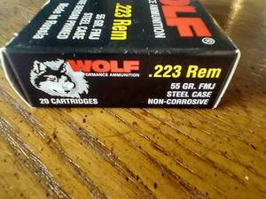 lot 60 image: 20 Rounds .223 FMJ Ammunition