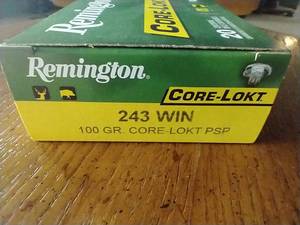 lot 62 image: 20 Rounds .243 PSP Ammunition