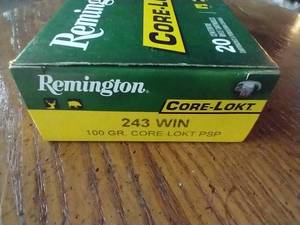 lot 85 image: 20 Rounds .243 Win Core-Lokt PSP Ammunition