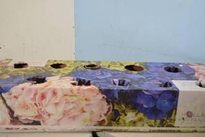 lot 1 image: Holland Hydrangea Glassware Set Flower Vases