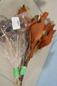 lot 5 image: Dried Lotus Pods, Foliage