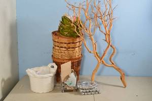 lot 97 image: Blanched Manzanita Branches, Assorted Wicker 10-in Baskets, Part Covers, White Ceramic Basket Vase,  More