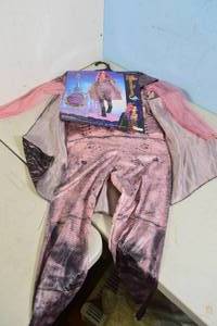 lot 155 image: Disney Girls Descendants 3 Audrey Deluxe Childrens Costume Small (4-6)