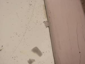 lot 50 image: Antique Mercury Mirror