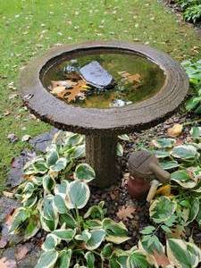 lot 15 image: River Stone Concrete Birdbath A