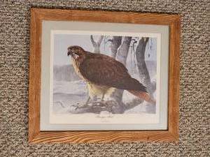 lot 27A image: Framed Naturalist Hawk Always Alert by Mario Fernandez, signed & numbered 192650