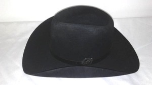 NASCAR Dale Earnhardt Cowboy Hat. Like New.