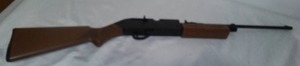 Crossman .177 and BB long gun.