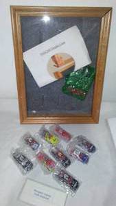 NASCAR Display Case plus 9 Dale Earnhardt 164 Cars.