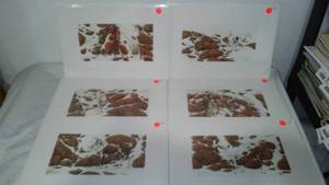 Bev Doolittle Prints (6) Seek and Hide Series, New