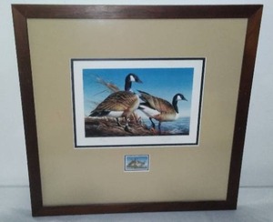 Terry Redlin, 1981 MN Waterfowl Stamp Award Winner.