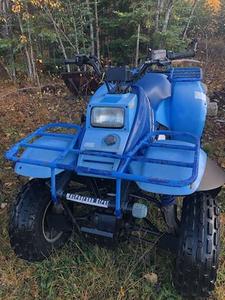 lot 4 image: 1992 POLARIS Trail Boss 250 4x4 Model W928127
