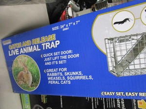 lot 83 image: Live Trap