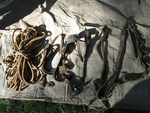 lot 153 image: Rope & Tree Climbing Equipment