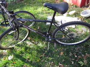 lot 181 image: Schwinn Sidewinder Bicycle