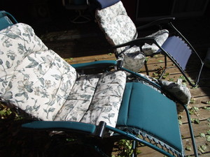 lot 216 image: Zero Gravity Loungers