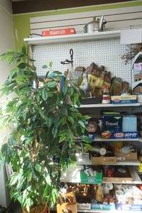 decor, kitchenware, medical