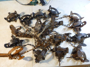 Victory Spring Hunting Traps