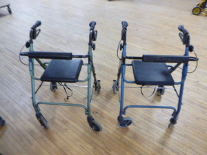 2 Guardian Walkers
