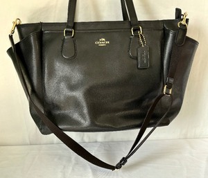 Amazing Coach Diaper Bag