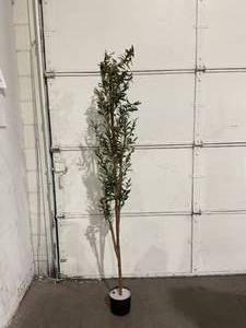 lot 320 image: Nearly Natural Artificial Silk Green Olive Tree with Fruit