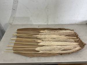 lot 438 image: LOT OF 10 Natural Pampas Grass