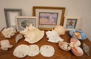 lot 147 image: Home DeCor Sea Shell Art Sea Shell Collection Large Sand Dollars Etc.