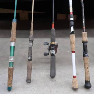 lot 21 image: FIVE RODS AND A REEL