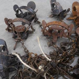 lot 48 image: HUNTING TRAPS