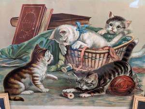 Adorable Framed Vintage Cat Prints