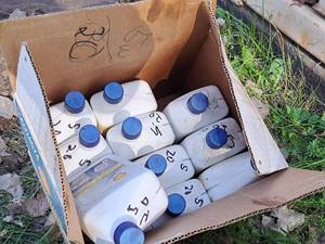 lot 705 image: Lot of (1 Case) Shell 5W-30 Motor Oil 1-Quart Plastic Bottles 12-count