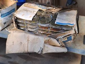 lot 730 image: Lot of (1 Box) Marker 1-14 Coil Nails
