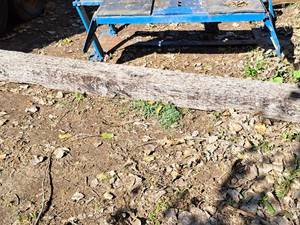 lot 604 image: Railroad Tie 102