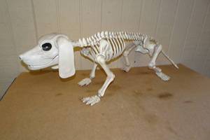 lot 338 image: Halloween BarkingGrowling Skeleton Dog Statue