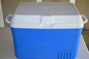 lot 179 image: Rubbermaid cooler
