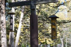 lot 213 image: Bird Feeders