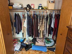 lot 443 image: EVERYTHING IN THE CLOSET - Everything you see in the closet except the pole