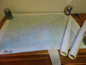 lot 370 image: Tube of maps of various cities throughout the US