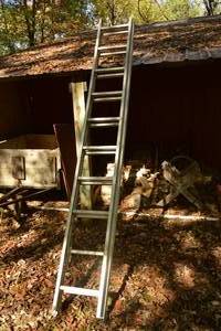 lot 226 image: Ladder