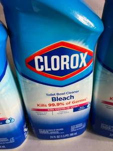 Clorox Bleach Toilet Bowl Cleaner