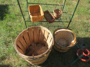 lot 96 image: Greenhouse Frame