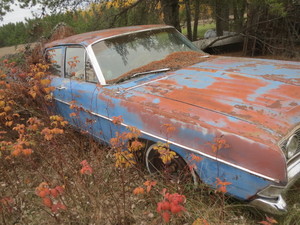 lot 166 image: Ford Parts Car